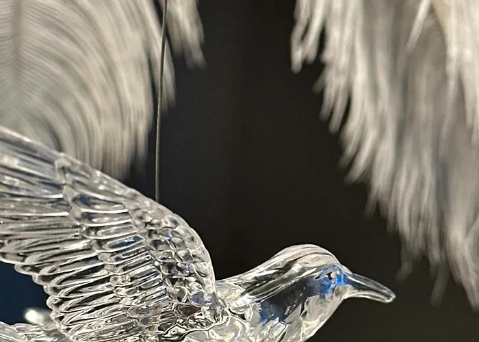 Eugenie Apartamento Vichy